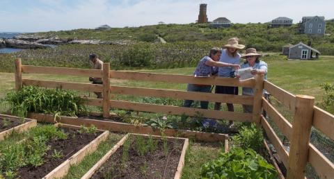 Community garden